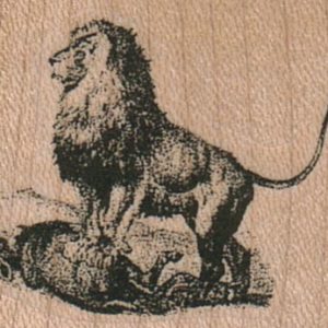 Lion 1 1/2 x 1 1/4-0