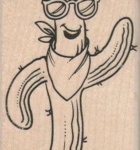 Sunglass Cactus 2 x 3 1/2-0