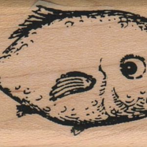 Surprised Fish 1 1/4 x 2 1/4-0