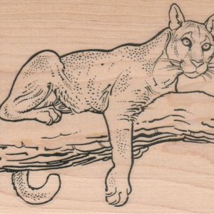 Mountain Lion On Branch 3 1/4 x 3 1/2-0