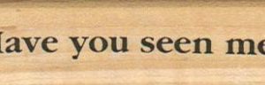 Have You Seen Me? 3/4 x 2 3/4-0