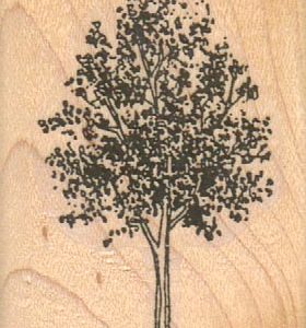 Leafy Tree 1 1/2 x 2-0
