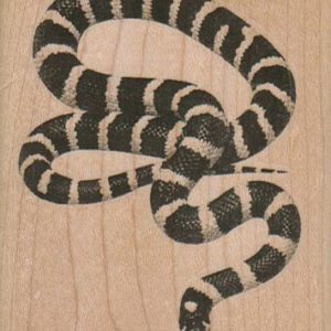 Striped Snake 2 1/2 x 3-0