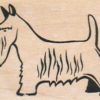 Dog Side 1 1/2 x 2-0