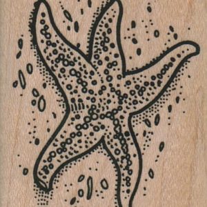 StarFish 1 3/4 x 2-0