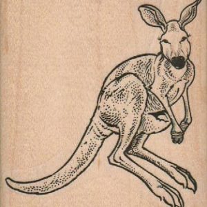 Kangaroo Hopping 3 1/4 x 3 3/4-0