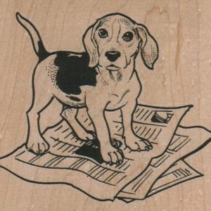 Beagle Dog - Papers 3 3/4 x 3 1/4-0