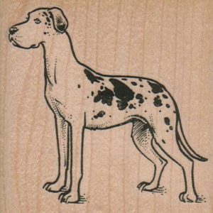 Harlequin Great Dane 2 3/4 x 2 3/4-0