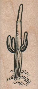 Saguaro Cactus 1 x 2