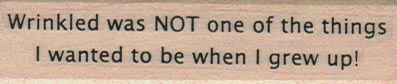 Wrinkled Was Not One 3/4 x 2 3/4