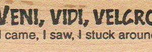 Veni Vidi Velcro 3/4 x 2 1/2-0