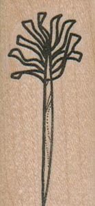 Cocktail ToothPick 1 x 2 1/4-0