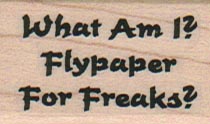 What Am I? Flypaper 1 x 1 1/2