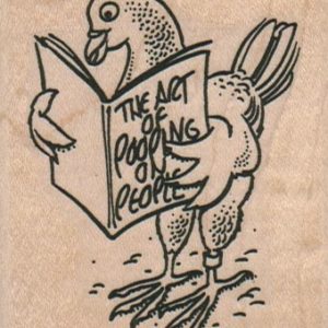 Pigeon Reading Manual 2 1/4 x 2 3/4-0