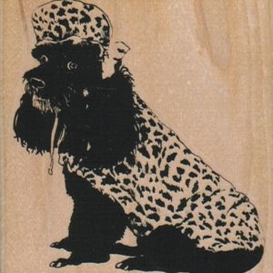 Poodle In Spotted Coat & Hat 3 x 3 1/4-0