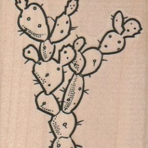 Cactus Split 2 1/4 x 2 3/4-0