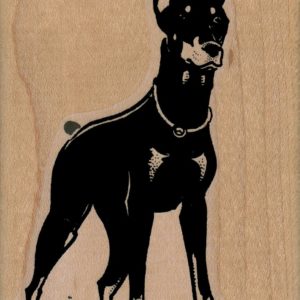 Doberman Dog Standing 2 1/2 x 3 1/4-0