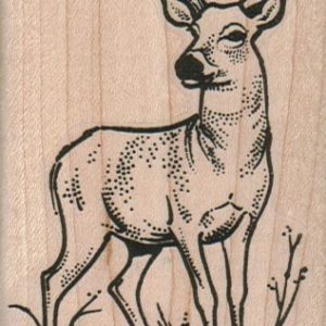 Deer Looking 2 1/4 x 3 1/2-0