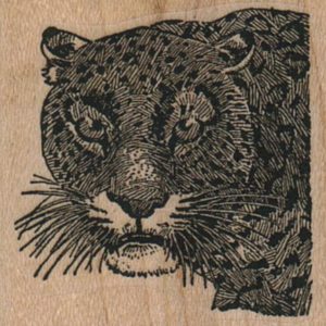 Leopard Head 1 3/4 x 1 1/2-0