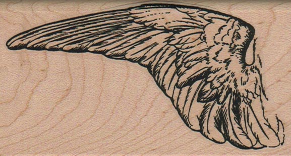 Feathered Wing 2 1/4 x 4