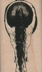 Horse's Behind 1 1/4 x 2 1/2-0