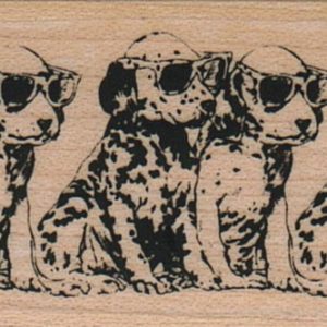 Dog Line 1 1/4 x 3 1/4-0