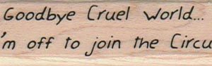 Goodbye Cruel World 3/4 x 2 1/2-0