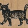Haughty Cat 2 x 1 3/4-0