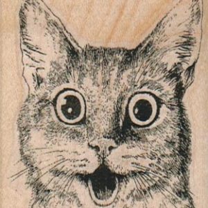Surprised Kitty Cat 2 1/4 x 2 3/4-0