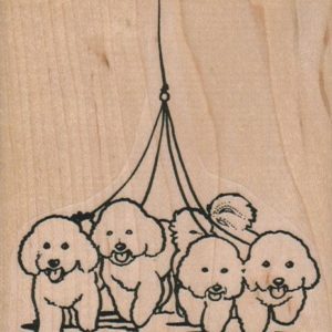 Bichon Quartet Walking 3 1/4 x 3 1/2-0