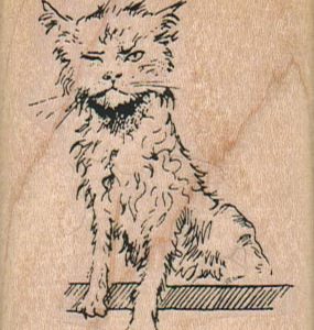 Wet Kitty 2 x 2 1/2-0