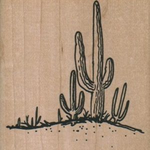 Saguaro Cactus Clump 2 3/4 x 2 3/4-0