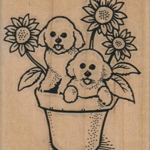 Bichons & Sunflowers 2 3/4 x 3 1/4-0