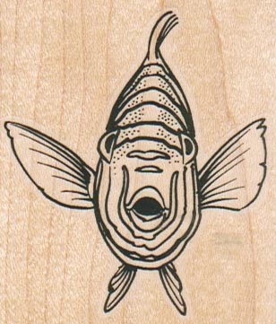 Fish Face On 2 1/4 x 2 1/2