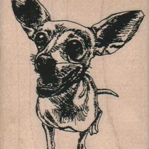 Chihuahua Dog 2 1/2 x 3 1/4-0