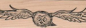 Owl Flying At Ya 1 1/2 x 5 1/2-0