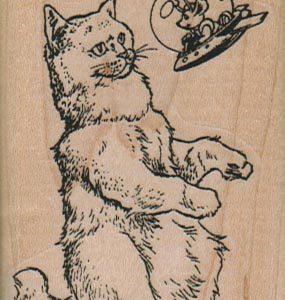 Cat With Space Mouse 2 x 2 3/4-0