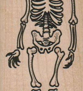 Skeleton 2 x 4 1/2-0