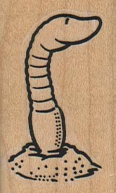Worm Looking Around 1 1/4 x 2-0