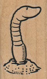 Worm Looking Around 1 1/4 x 2