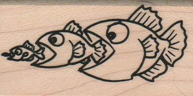 Fish Trio Eating 1 1/4 x 2 1/4