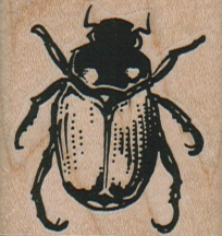 Scarab Beetle 1 1/2 x 1 1/2