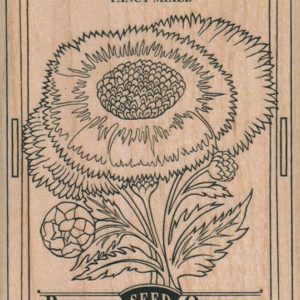 Centaurea Seed Packet 3 3/4 x 5 1/4-0