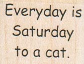Everyday is Saturday To A Cat 1 1/4 x 1