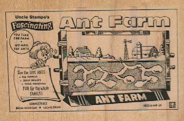 Ant Farm 4 x 2 3/4