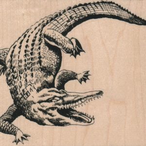 Alligator 4 1/4 x 3 1/2-0