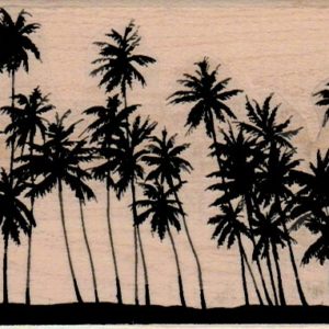 Palm Forest 2 3/4 x 6-0