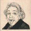 Einstein's Tongue 2 1/2 x 2 1/2-0