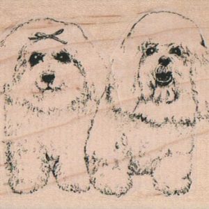 Bichon Buddies 2 1/2 x 3-0