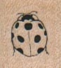 Ladybug/Small 3/4 x 3/4